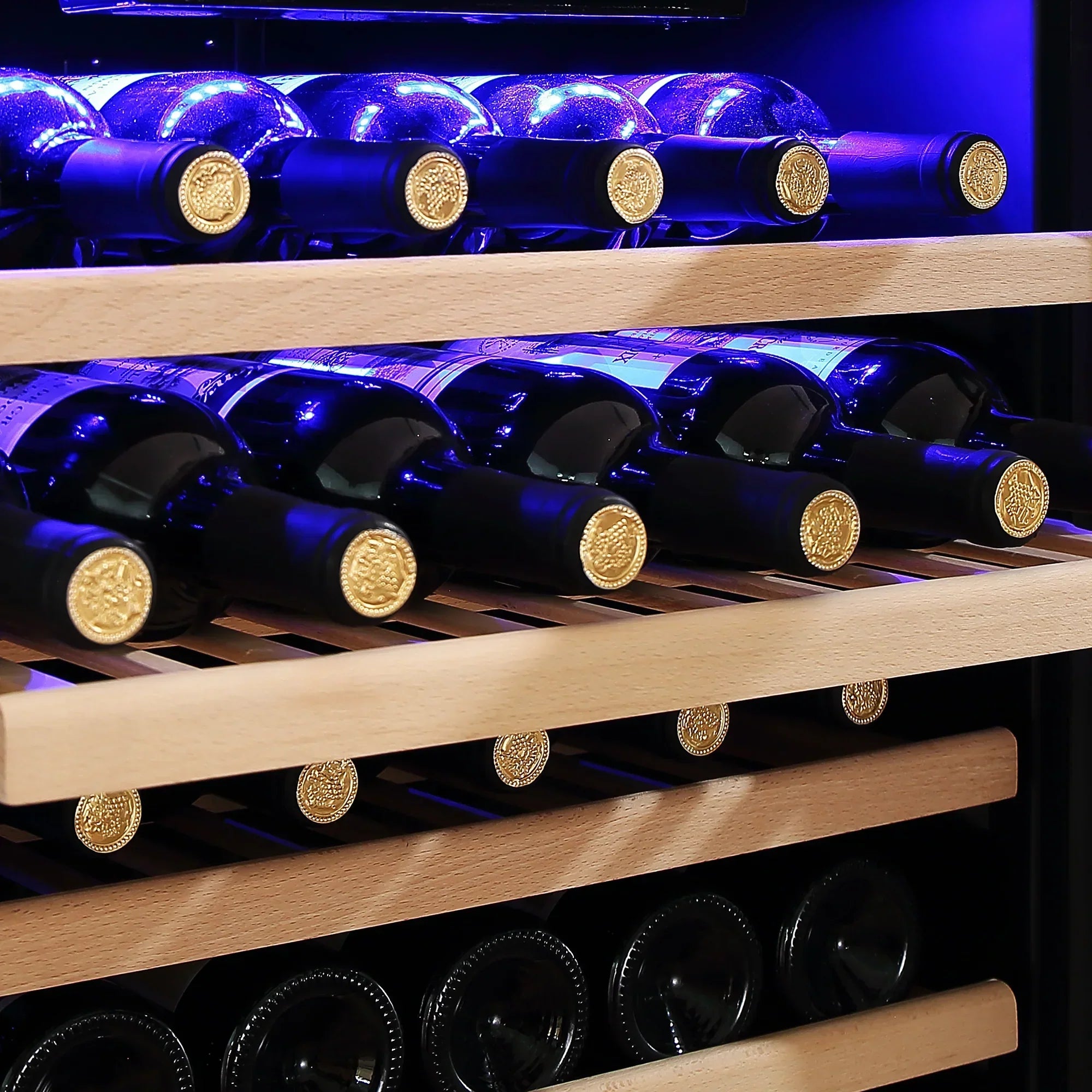 Empava 55-Inch Tall 127 Bottles Wine Cooler in Stainless Steel with Glass Door (EMPV-WC05S)