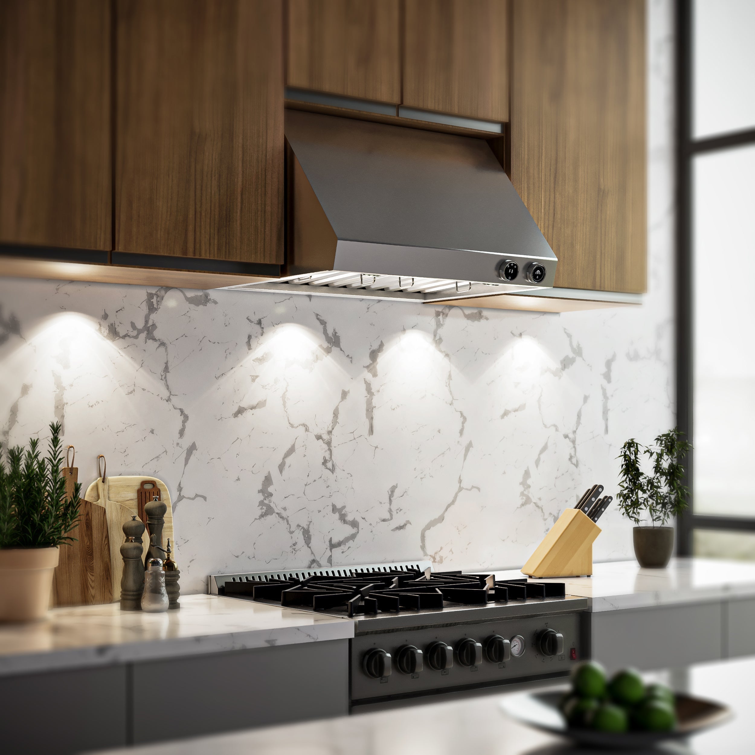 Forno Biagio 30-Inch Wall Mount Range Hood, 600 CFM, Stainless Steel (FRHWM5009-30)