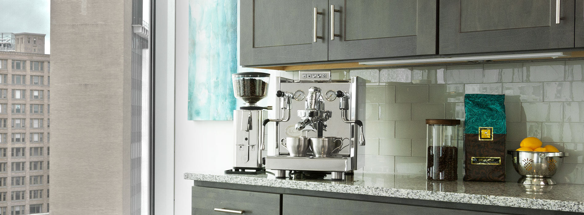 ECM Elektronika II Profi Switchable Espresso Machine
